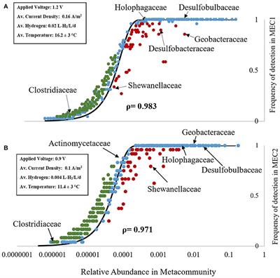 Community Assembly in Wastewater-Fed Pilot-Scale Microbial Electrolysis Cells